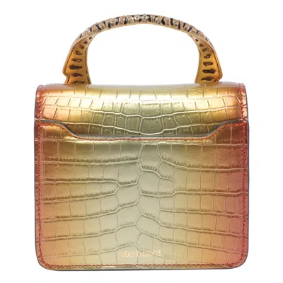 Shop Roberto Cavalli Bags In Multicolour