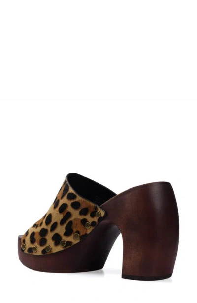 Shop Zigi Xyla Platform Sandal In Leopard