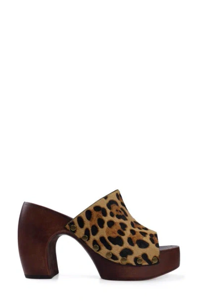 Shop Zigi Xyla Platform Sandal In Leopard