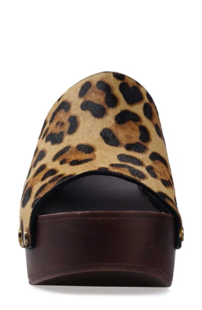 Shop Zigi Xyla Platform Sandal In Leopard
