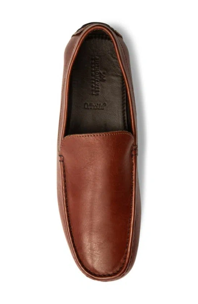 Anthony Veer Cleveland Driver In Saddle Tan
