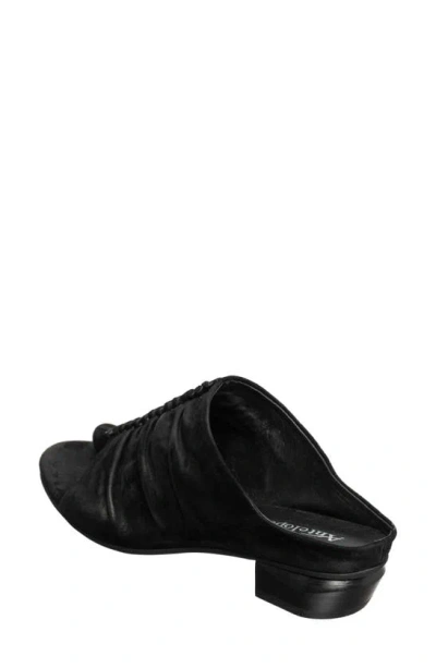 Antelope Lalana Mule In Black Suede