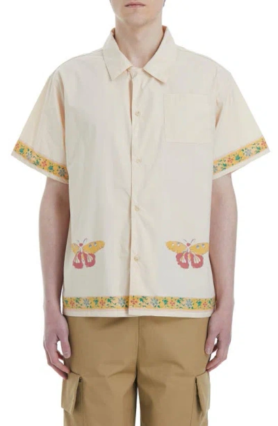 Shop Found Moth Cotton Graphic Camp Shirt In Cream