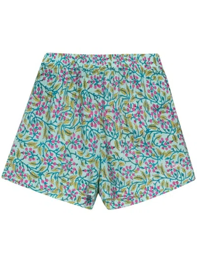 Shop Mc2 Saint Barth Cotton Shorts With Floral Print In Multicolour