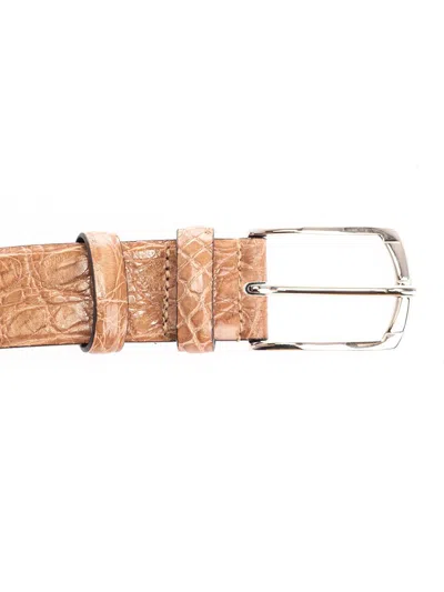 Shop D'amico Belts In Brown