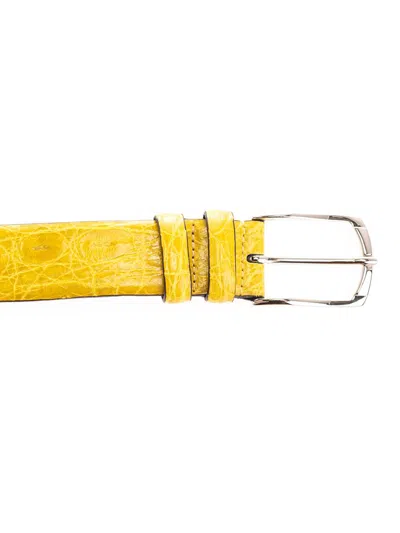 Shop D'amico Belts In Yellow