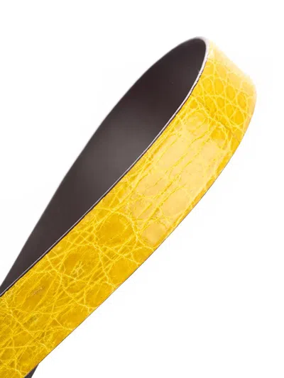 Shop D'amico Belts In Yellow