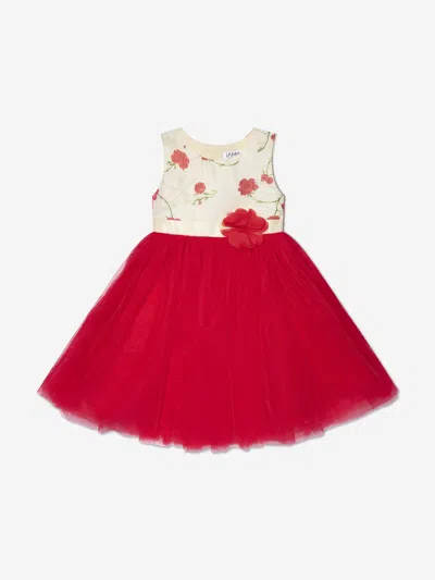 Shop Iame Girls A Line Tulle Dress In Red