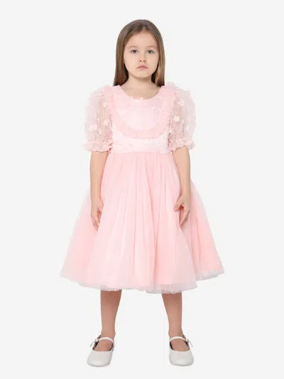 Shop Iame Girls Short Sleeve Embroidered Dress In Pink