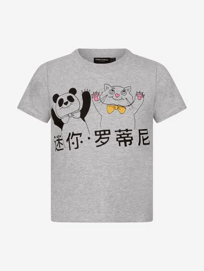 Mini Rodini Boys T-shirt 1 - 3 Mths Grey In Grey