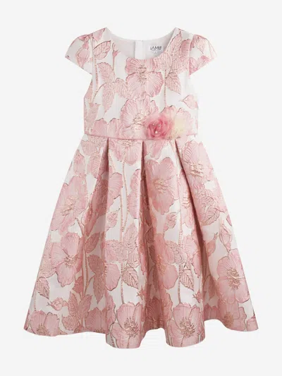 Shop Iame Girls Flower Brocade Dress In Pink