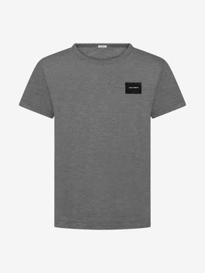 Shop Dolce & Gabbana Boys Cotton Jersey Logo T-shirt In Grey