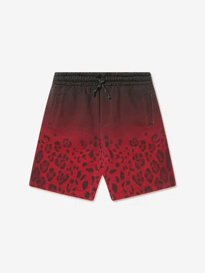 Shop Dolce & Gabbana Boys Cotton Leopard Bermuda Shorts 10 Yrs Multicoloured