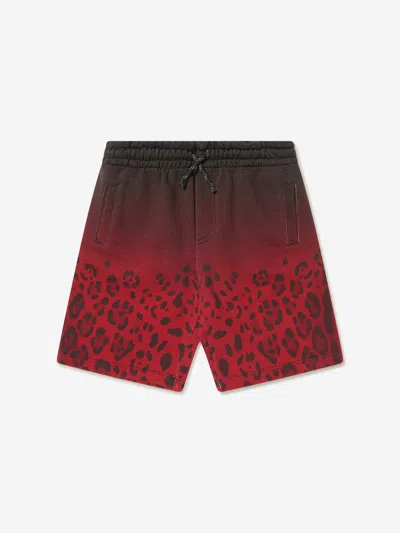 Dolce & Gabbana Boys Cotton Leopard Bermuda Shorts 6 Yrs Multicoloured In Multicoloured