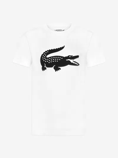 Shop Lacoste Boys Large Croc T-shirt 8 Yrs White