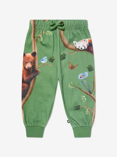 Shop Molo Kids Animal Living Joggers In Green