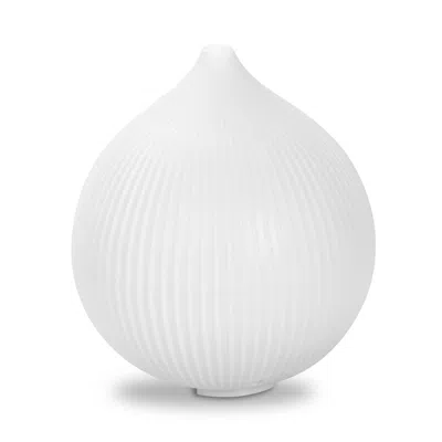 Fresh Fab Finds Cool Mist Humidifier With Aroma Diffuser With Led Lights In White