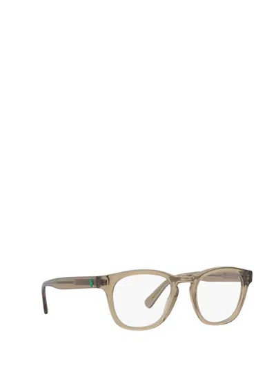 Shop Polo Ralph Lauren Eyeglasses In Shiny Transparent Light Brown