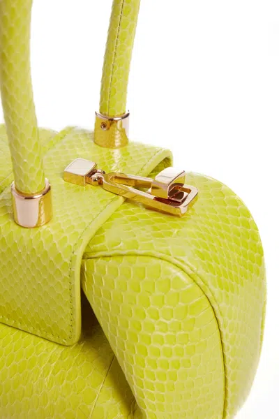 Gabriela Hearst Demi Bag In Lime Adamite Snakeskin In Lime Adamite