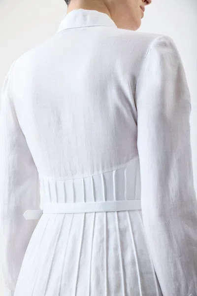 Shop Gabriela Hearst Dewi Pleated Dress In White Aloe Linen