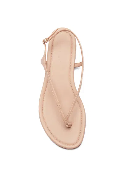 Gabriela Hearst Gia Flat Sandal In Dark Camel Leather In Dark Camel