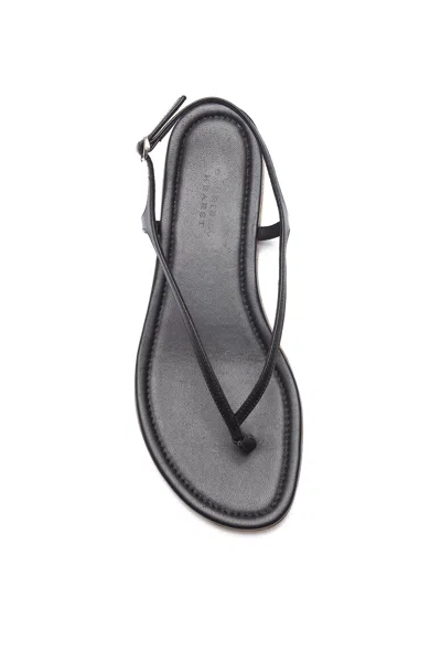Gabriela Hearst Gia Flat Sandal In Black Leather In Black