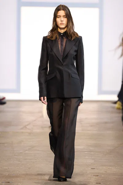 Shop Gabriela Hearst Leiva Sheer Blazer In Black Silk Organza