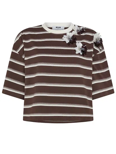 Shop Msgm Cotton T-shirt With Striped Print And Floral Appliques In Brown