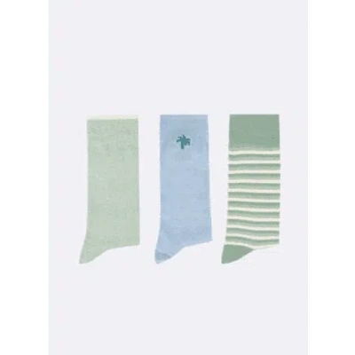 Shop Faguo Socks In A Box In Green Mix From