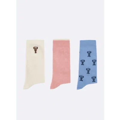 Shop Faguo Socks In A Box In Light Blue Mix From