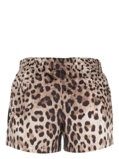 Shop Dolce & Gabbana Leopard Print Swimsuit In Brown