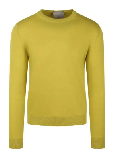 Shop Moreno Martinelli Cotton Crewneck Sweater In Yellow
