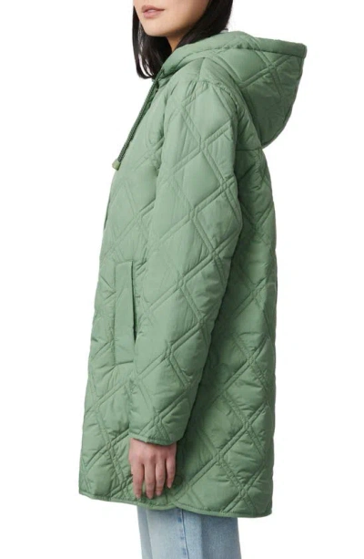 Shop Bernardo Hooded Quilted Liner Jacket In Hedge Green