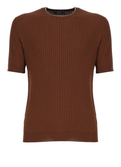 Shop Peserico Brown Cotton Tshirt