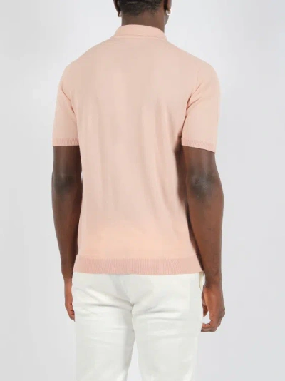 Shop Roberto Collina Cotton Knit Polo Shirt In Pink