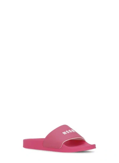 Shop Msgm Micrologo Slippers In Pink