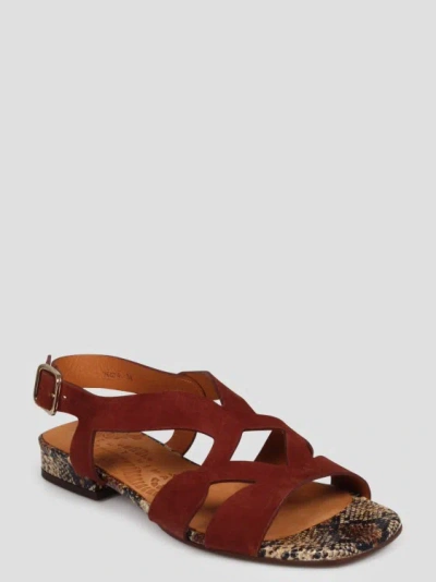 Shop Chie Mihara Taini Sandals In Brown