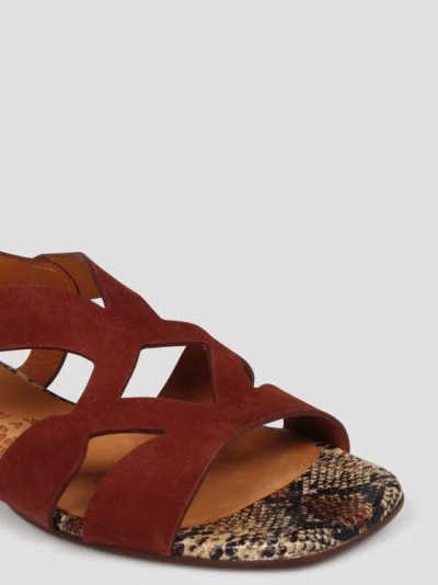 Shop Chie Mihara Taini Sandals In Brown