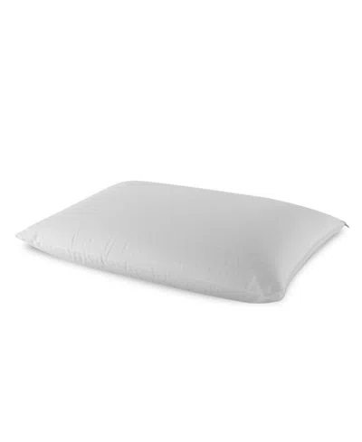 Shop I Am Natural Latex Foam Pillow, Queen In White