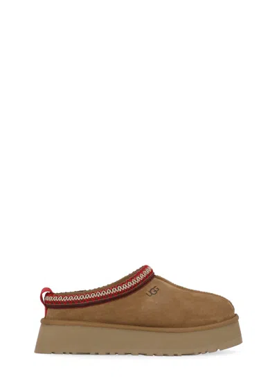 Shop Ugg Tazz Slippers In Brown