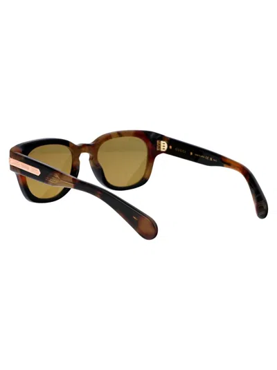 Shop Gucci Sunglasses In 003 Havana Havana Brown