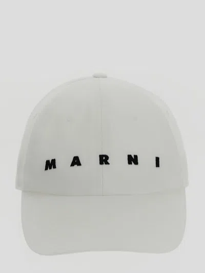 Shop Marni Hat