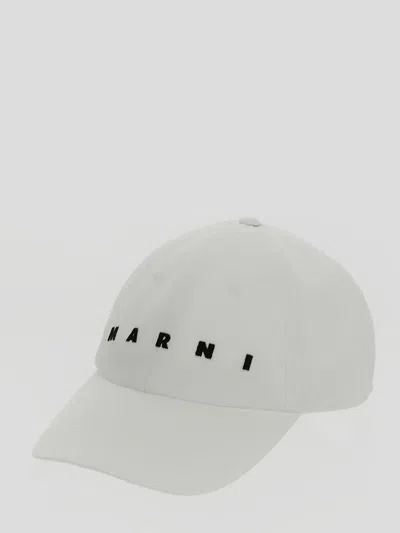 Shop Marni Hat