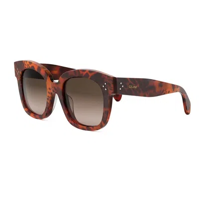 Shop Celine Sunglasses In Marrone/marrone Sfumata