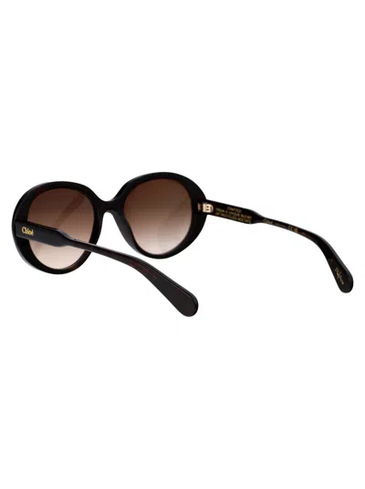 Shop Chloé Ch0221s Sunglasses In 002 Havana Havana Brown