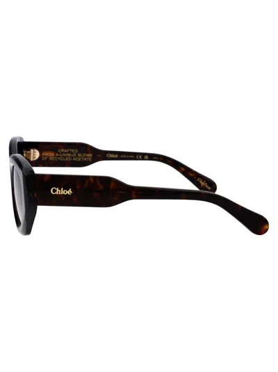 Shop Chloé Ch0220s Sunglasses In 002 Havana Havana Brown