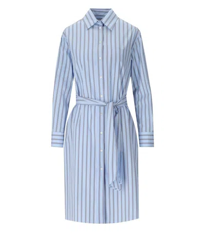 Shop Max Mara Edipo Light Blue Striped Shirt Dress