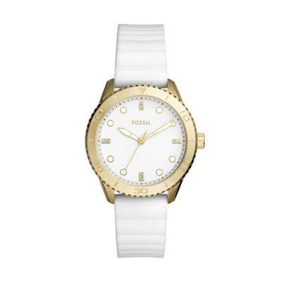Shop Fossil Women's Dayle Three-hand, Gold-tone Stainless Steel Watch In White