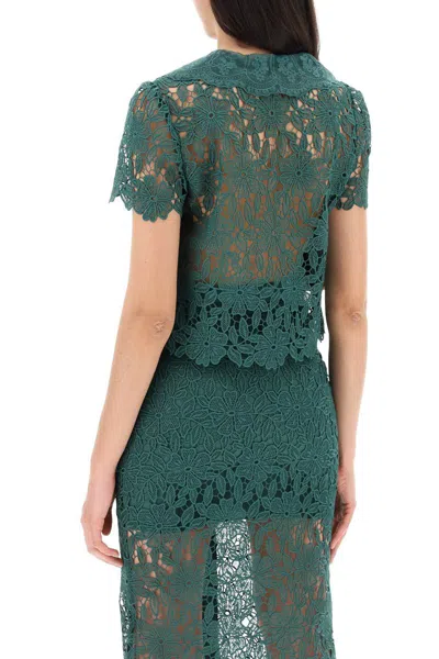 Shop Self-portrait "chelsea Lace Guipure Top With Collar In Verde