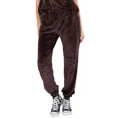 Shop Bella Dahl Relaxed Jogger Pant In Dark Cacao In Purple